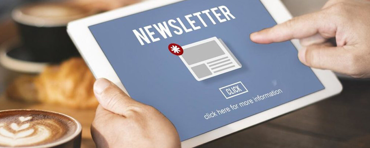 14 Easy Steps to Create an Email Newsletter