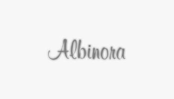 Albinora Consulting